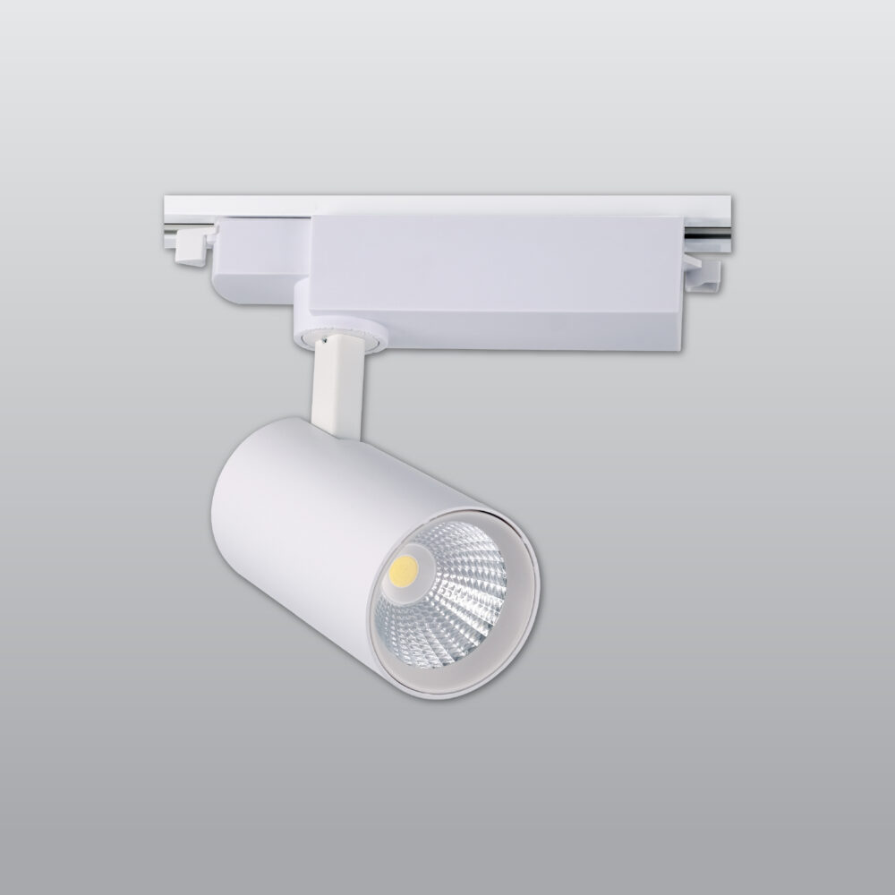 AD30-11000-01-1000x1000 ACK 10W LED Ray Armatür - Görsel 2