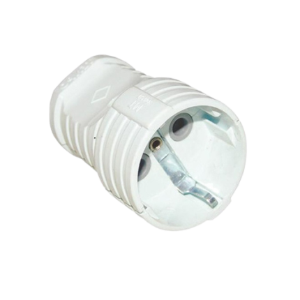 Topraklı Dişi Fiş