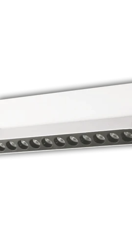 CATA CT-5831 B. KASA